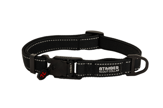 Scout Dog Collar